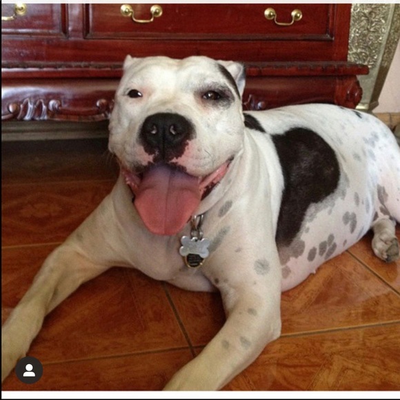 Meet your Posher, Mo - Picture 7 of 8